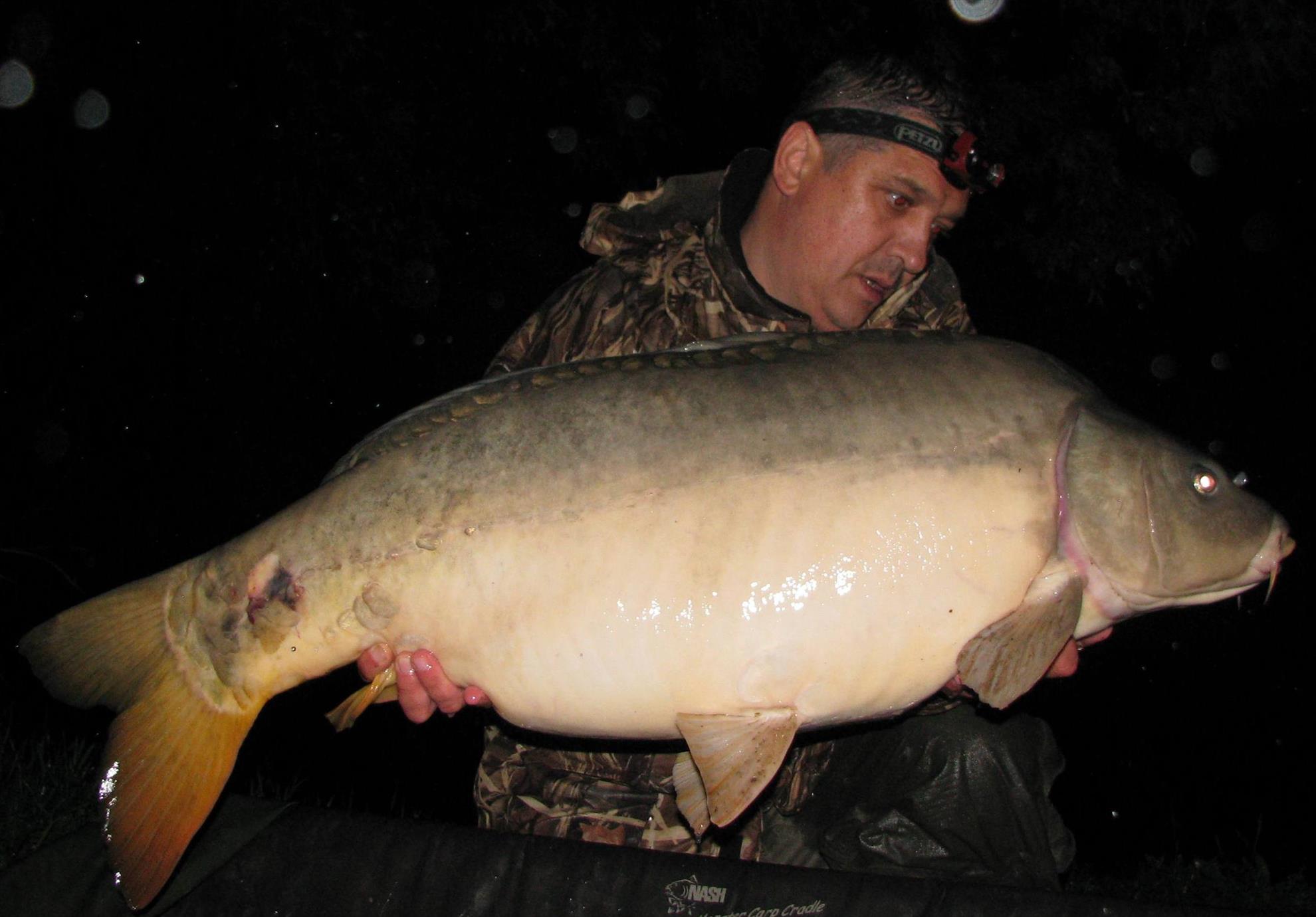 capturi over 20 kg in 2014 - 12 buc. - img1199.JPG